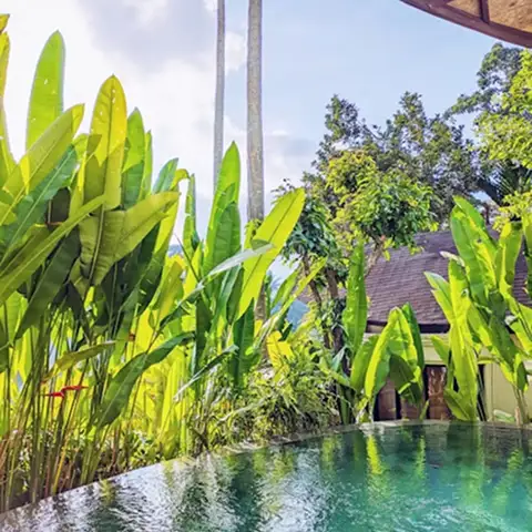 Luxury villa with pool