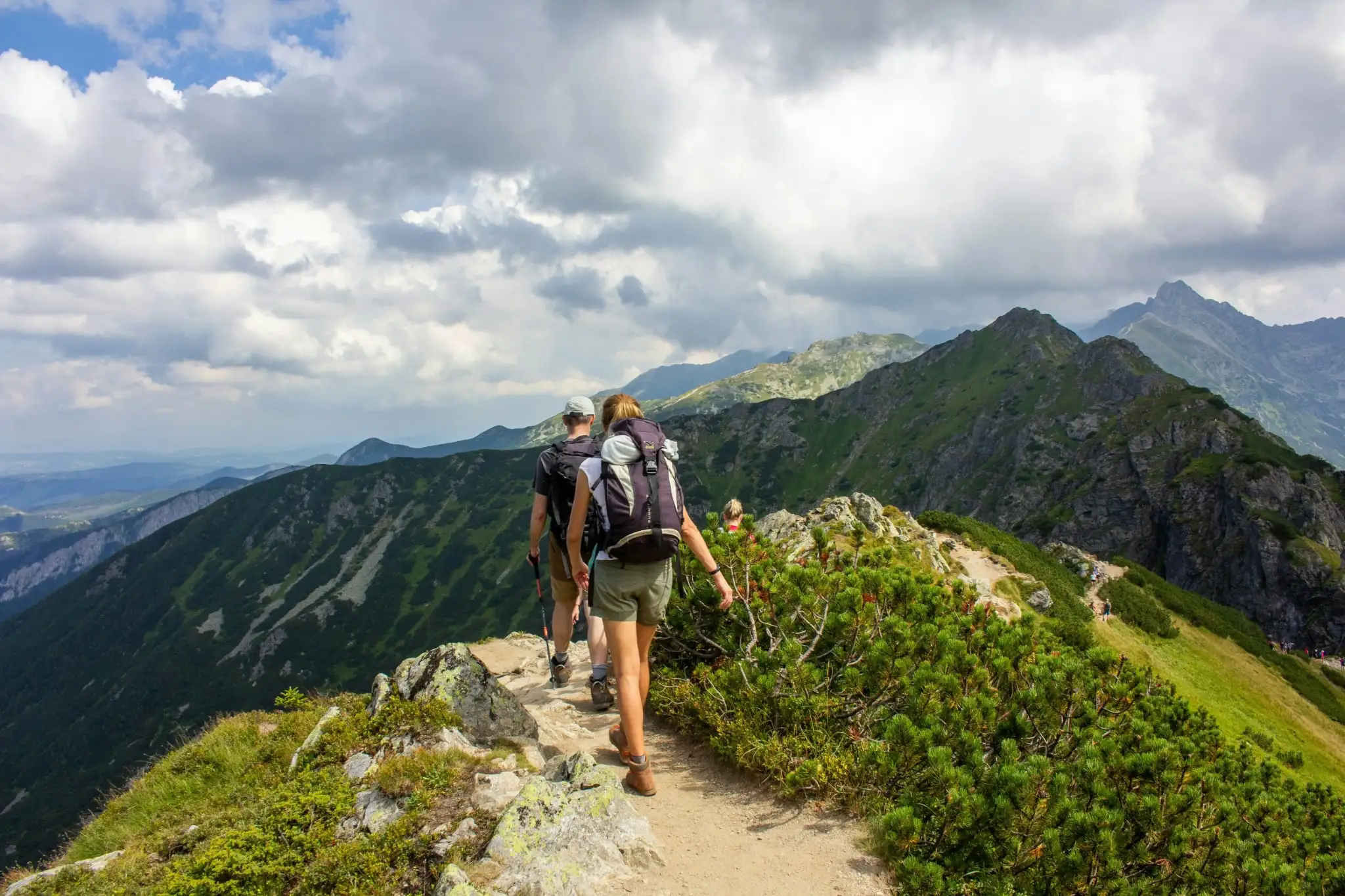 Group trekking in green forest