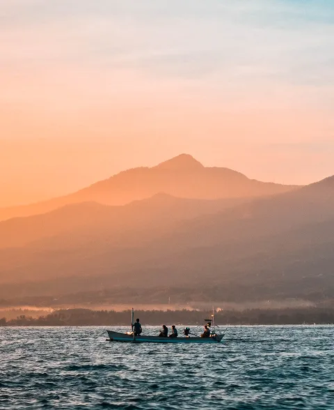 Dolphins jumping at sunrise