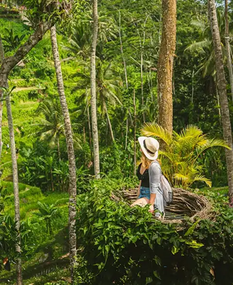 Group trekking in green forest