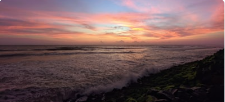 Dudhsagar Waterfalls cascading through lush forest